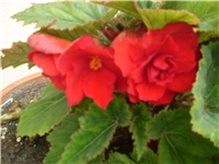 2677c0a8-Picture 280.jpg